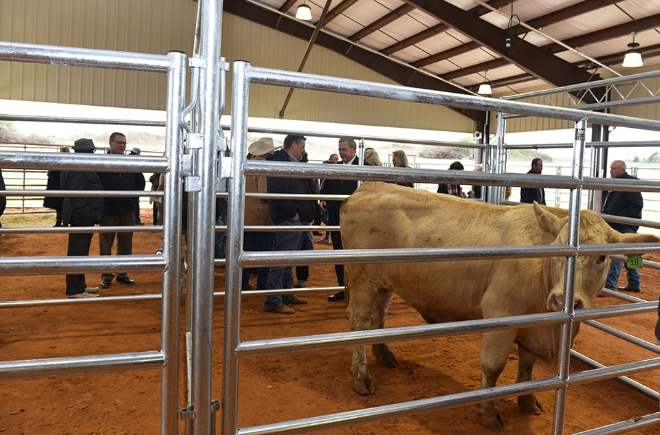 Texas A&M University