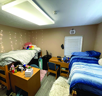 Housing Graphic