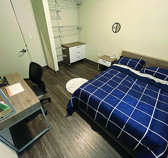 Housing Graphic
